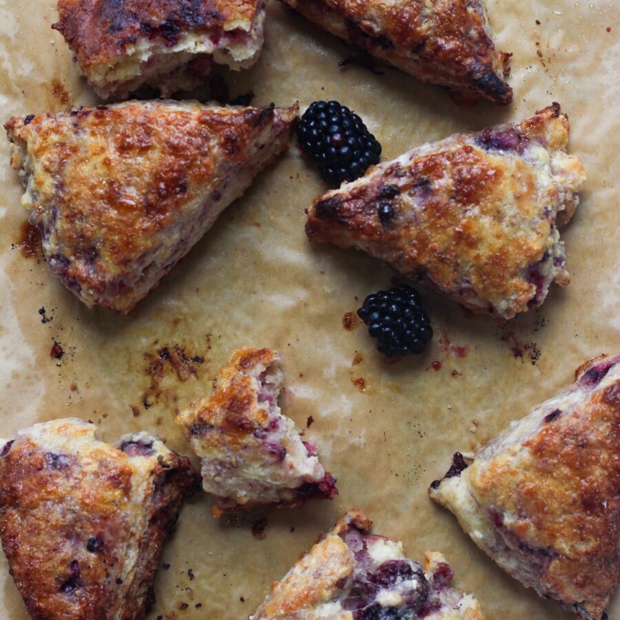Blackberry habanero scones on a baking sheet on a backdrop.
