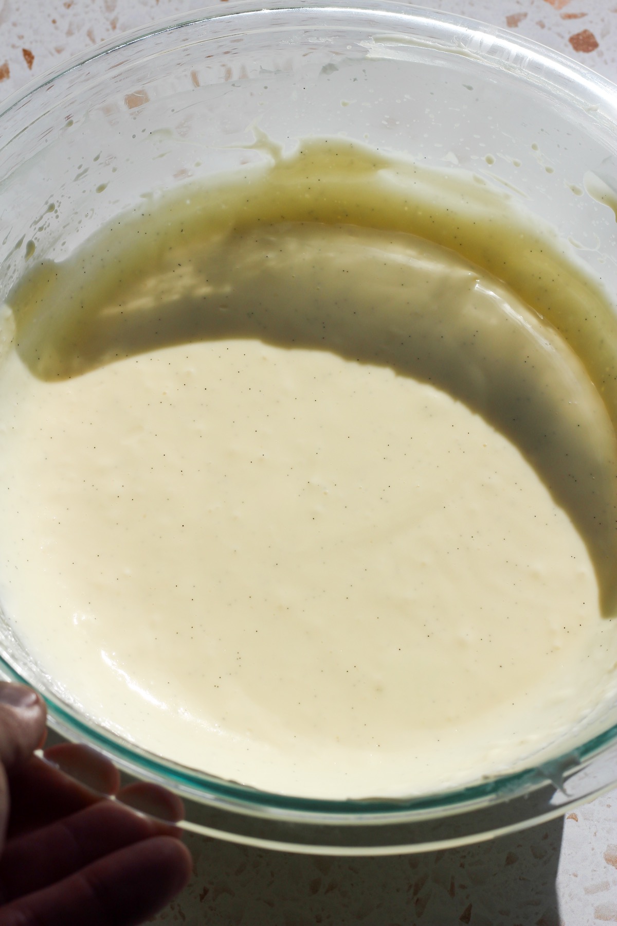 Close up shot of vanilla bean cheesecake filling in direct sunlight.