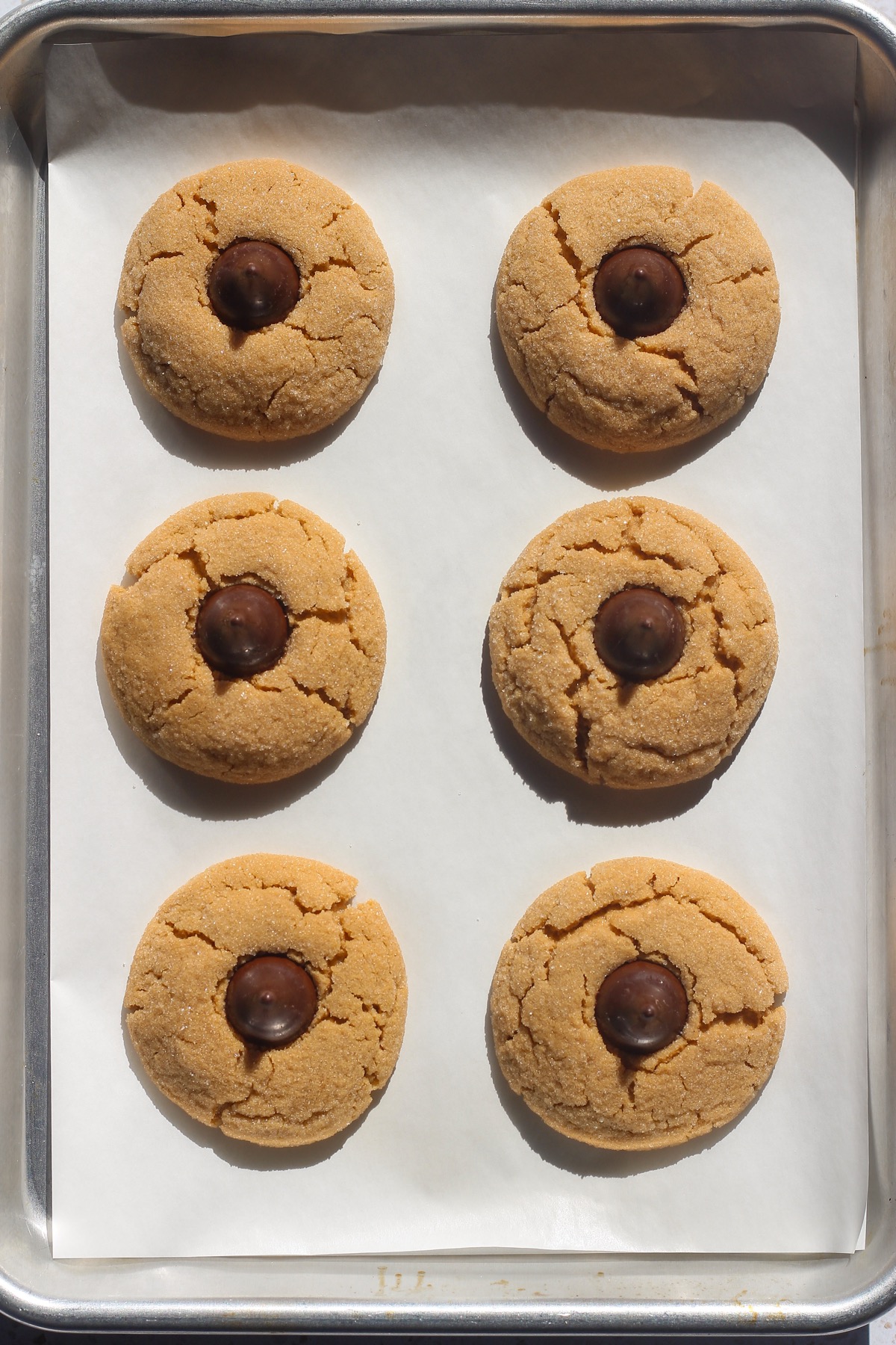 Tray of peanut butter blossoms in direct sunlight.