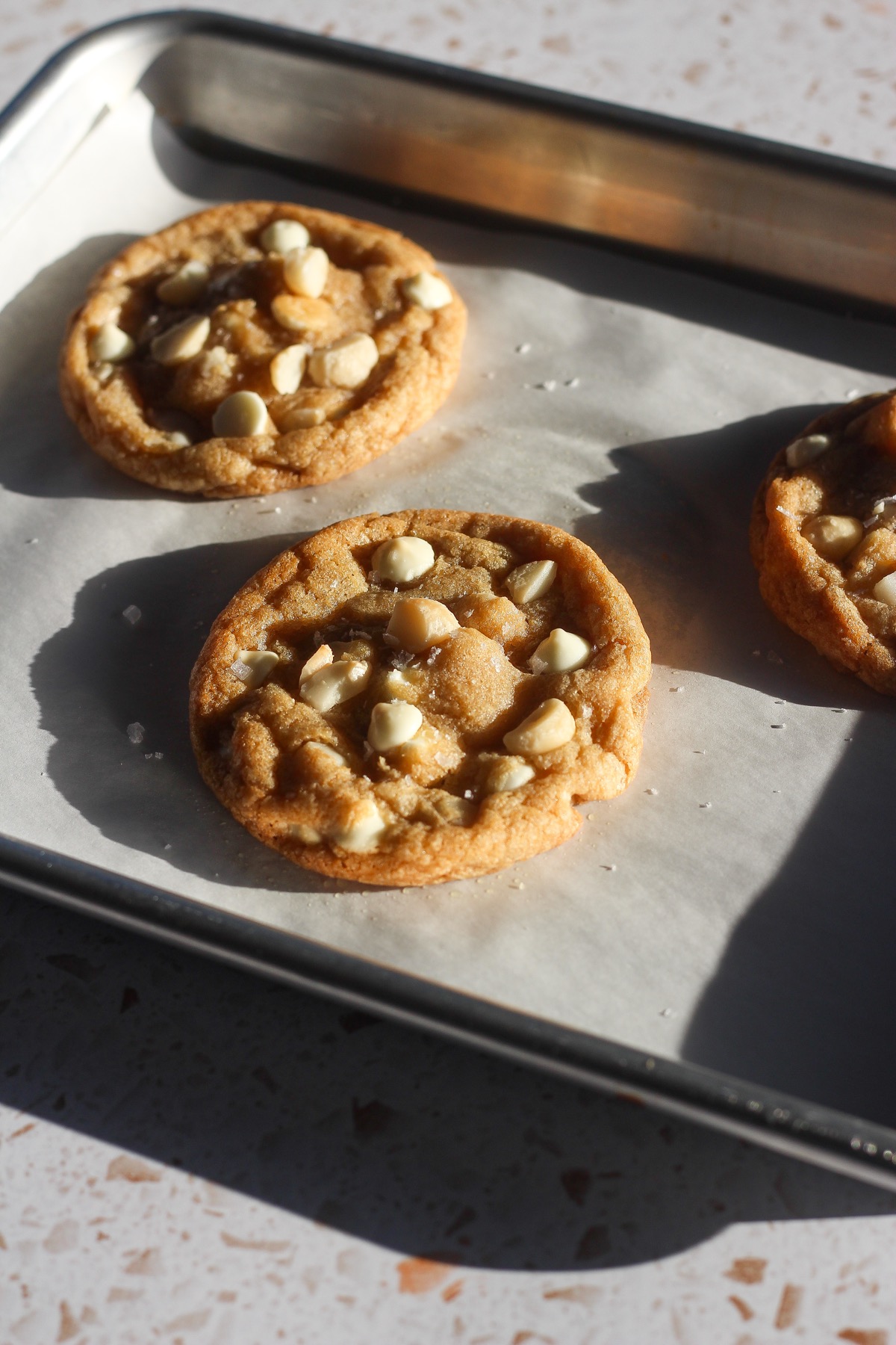 White chocolate macadamia nut cookies on a baking sheet.