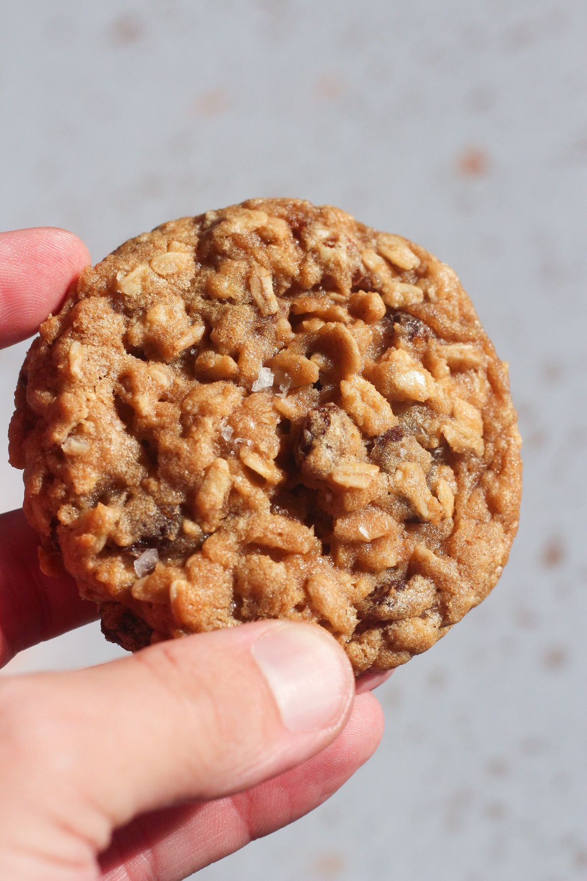Hand holding a baked oatmeal raisin cookie with flaky sea salt on top