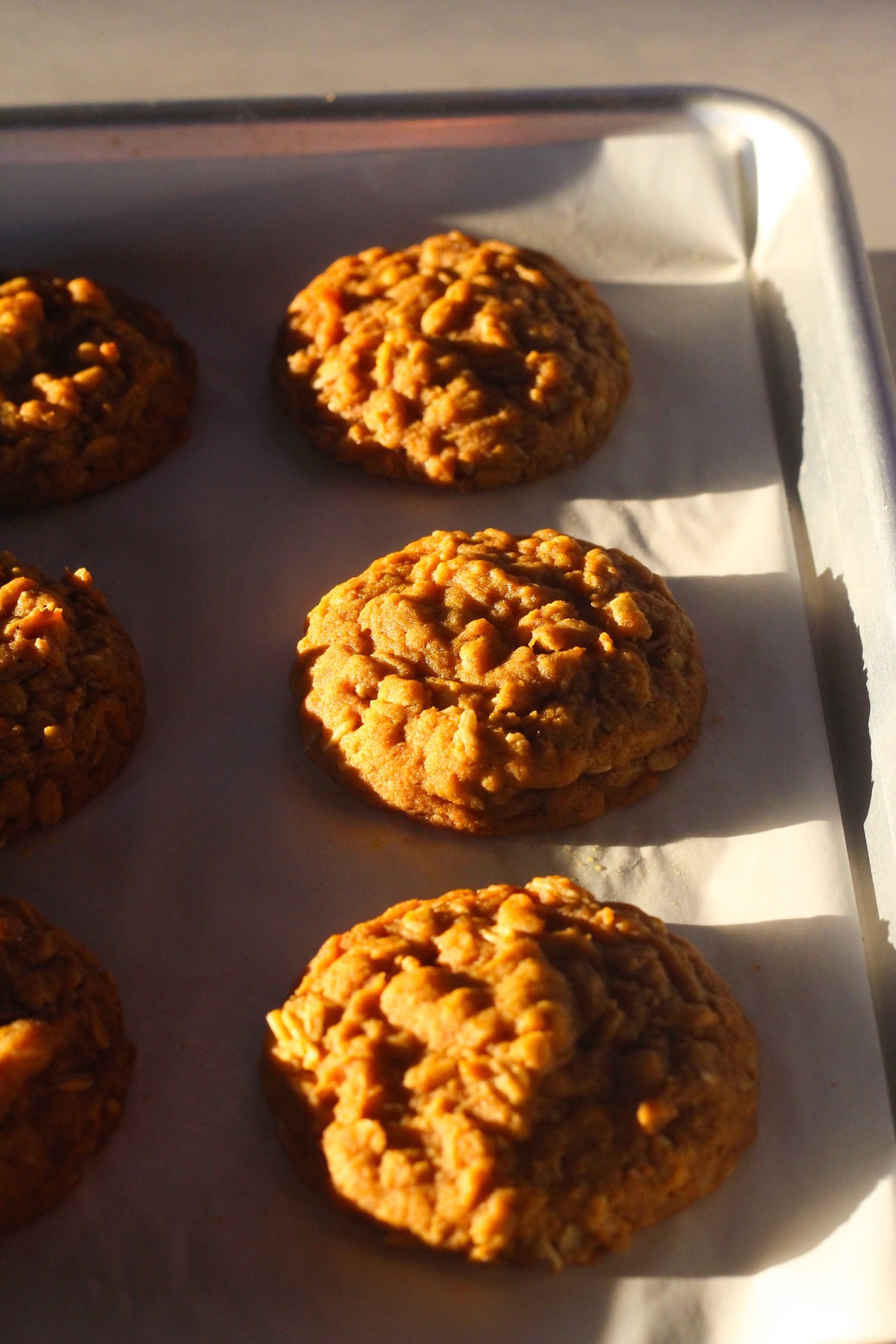 Freshly baked brown butter pumpkin oatmeal cookies on a parchment-lined baking sheet
